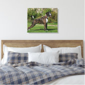 Brindle Boxer Dog Show Stance Leinwanddruck (Insitu (Schlafzimmer))