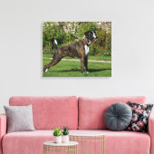 Brindle Boxer Dog Show Stance Leinwanddruck (Insitu (Wohnzimmer))