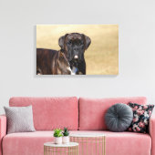 Brindle Boxer Dog Stehend Leinwanddruck (Insitu (Wohnzimmer))