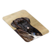 Brindle Boxer Dog Stehend Magnet (Rechte Seite)