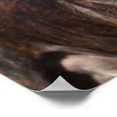 Brindle Boxer Dog Stehend Poster (Ecke)