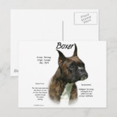 Brindle Boxer History Postkarte (Vorne/Hinten)