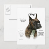 Brindle Boxer History Postkarte (Vorne/Hinten)