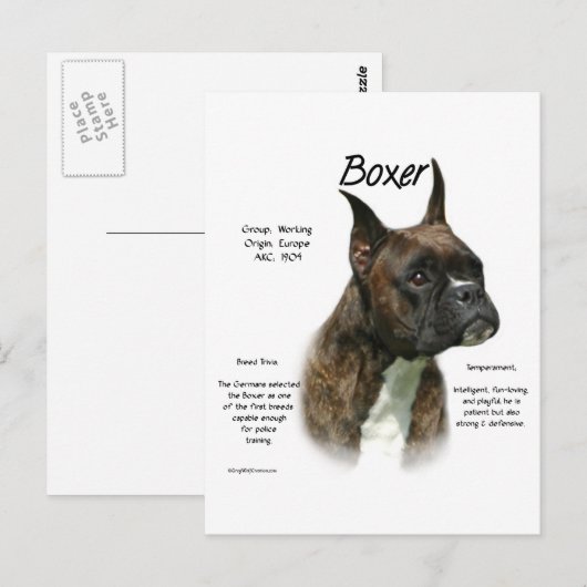 Brindle Boxer History Postkarte (Vorne/Hinten)
