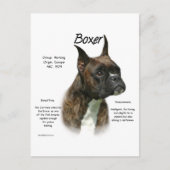 Brindle Boxer History Postkarte (Vorderseite)