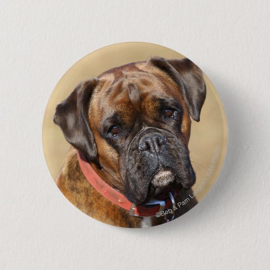 Brindle Boxer-Hund Button (Vorderseite)