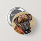 Brindle Boxer-Hund Button (Vorne & Hinten)