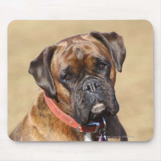 Brindle Boxer-Hund Mousepad (Vorne)