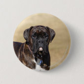 Brindle Boxer-Hund stehend Button (Vorderseite)
