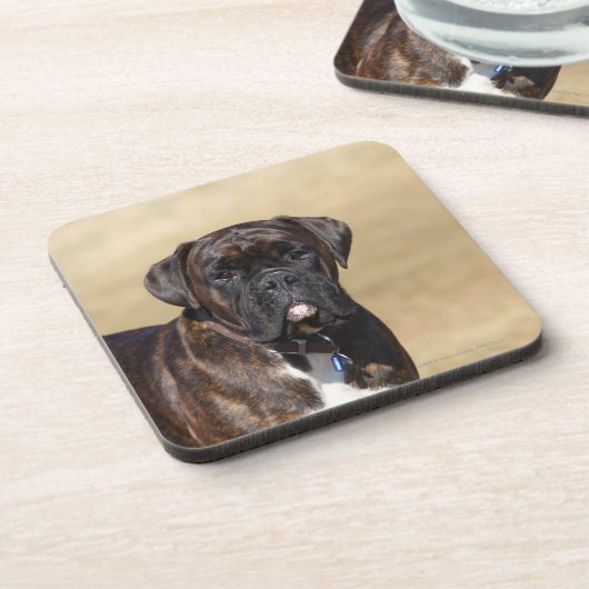 Brindle Boxer-Hund stehend Getränkeuntersetzer (Linke Seite)