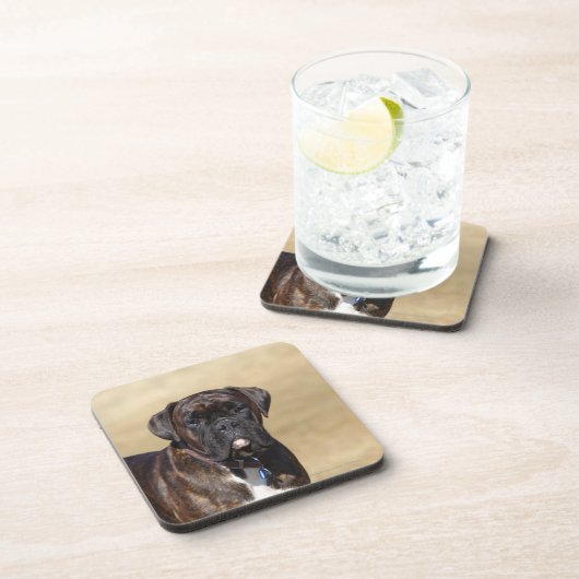 Brindle Boxer-Hund stehend Getränkeuntersetzer (Rechte Seite)