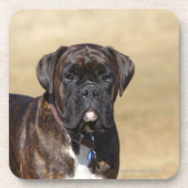 Brindle Boxer-Hund stehend Getränkeuntersetzer (Vorderseite)