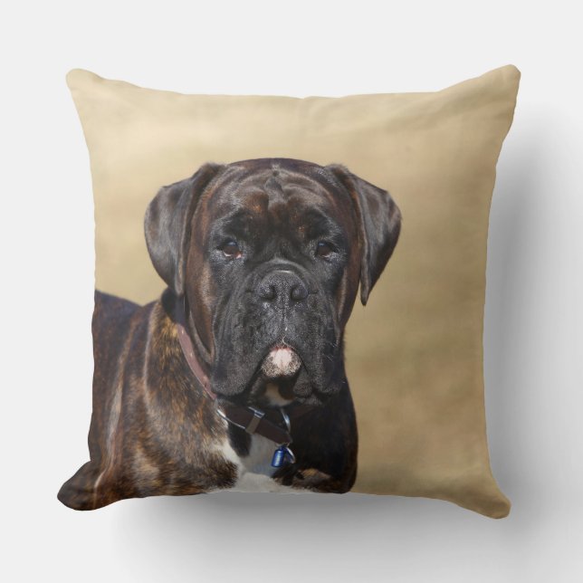 Brindle Boxer-Hund stehend Kissen (Vorderseite)