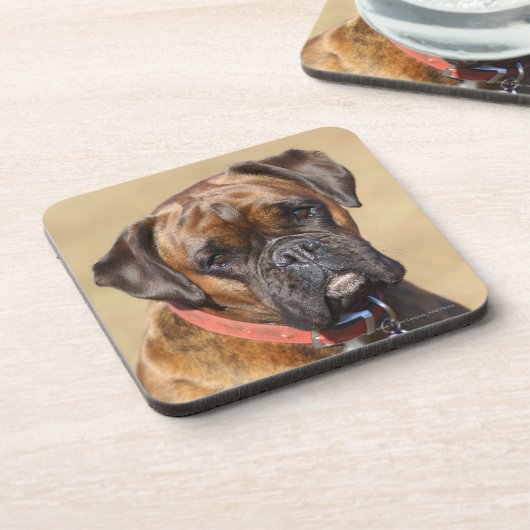 Brindle Boxer-Hund Untersetzer (Linke Seite)