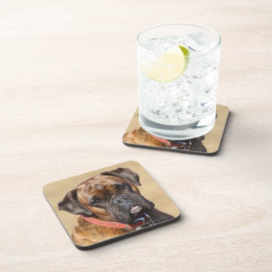 Brindle Boxer-Hund Untersetzer (Rechte Seite)