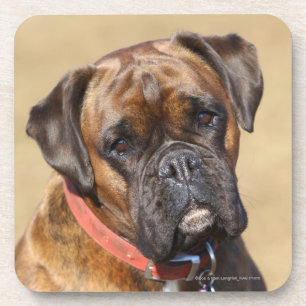 Brindle Boxer-Hund Untersetzer