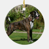 Brindle Boxer-Hundeshow-Position Keramikornament (Hinten)