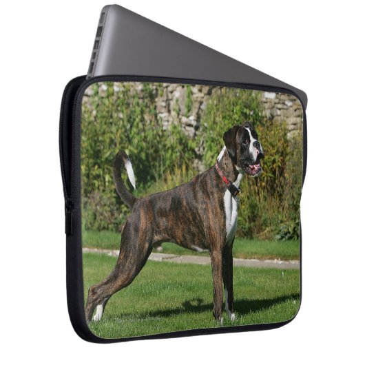 Brindle Boxer-Hundeshow-Position Laptopschutzhülle (Vorne Rechts)