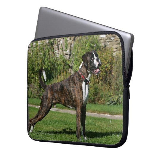 Brindle Boxer-Hundeshow-Position Laptopschutzhülle (Vorderseite Links)