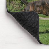 Brindle Boxer-Hundeshow-Position Mousepad (Ecke)