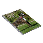 Brindle Boxer-Hundeshow-Position Notizblock (Rechte Seite)