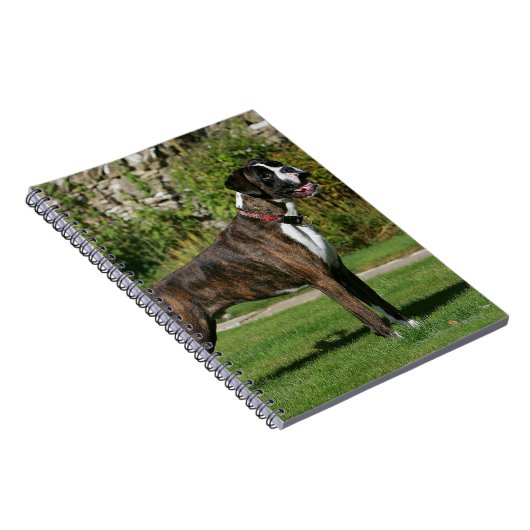 Brindle Boxer-Hundeshow-Position Notizblock (Rechte Seite)