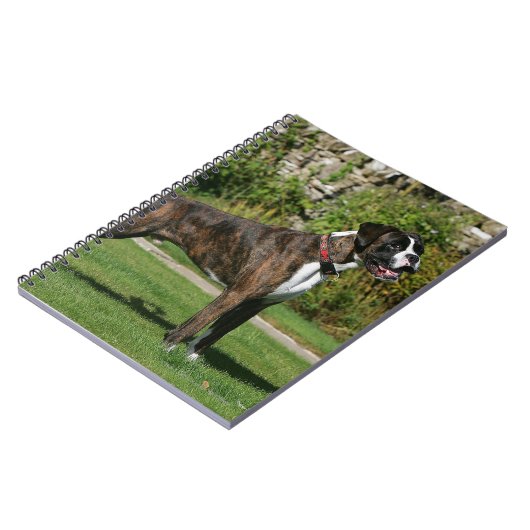 Brindle Boxer-Hundeshow-Position Notizblock (Linke Seite)