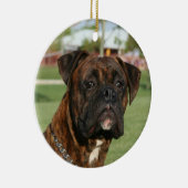 Brindle boxer ornament (Rechts)