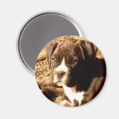 Brindle-Boxer-Pup-Magnet Magnet (Vorderseite/Rückseite)