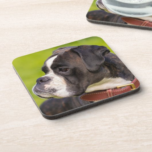 Brindle Boxer Puppy Dog Getränkeuntersetzer (Linke Seite)
