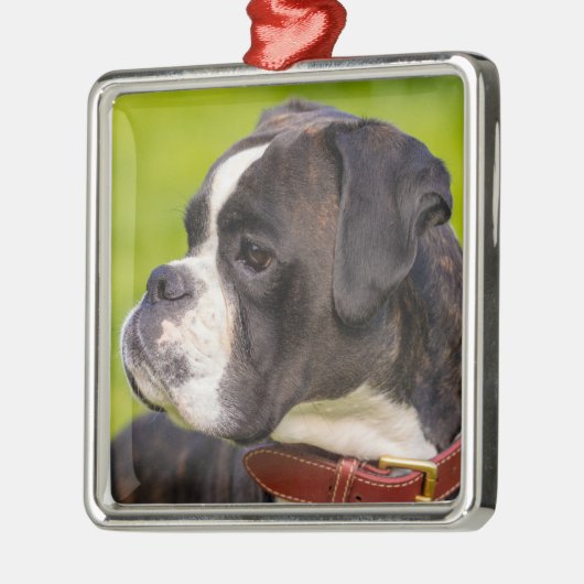 Brindle Boxer Puppy Dog Ornament Aus Metall (Links)