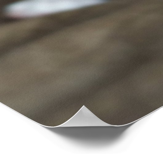 Brindle Boxer Puppy Poster (Ecke)