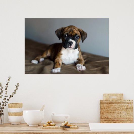 Brindle Boxer Puppy Poster (Küche)