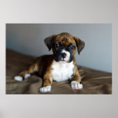Brindle Boxer Puppy Poster (Vorne)