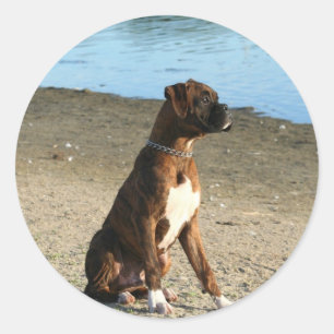 Brindle Boxer-Welpenaufkleber Runder Aufkleber