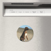 Brindle Boxer Welpenmagnet Magnet (In Situ (Geschirrspüler))