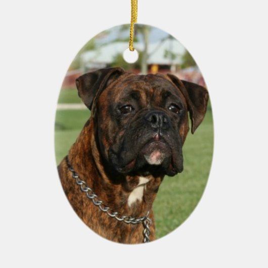 Brindle Boxerverzierung Keramikornament (Vorne)
