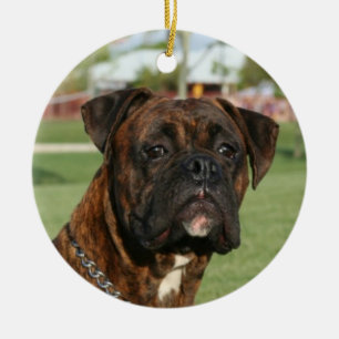 Brindle Boxerverzierung Keramikornament