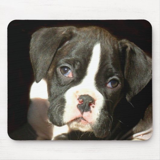Brindle Boxerwelpe mousepad (Vorne)
