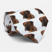 Brindle Boxerwelpen-Krawatte Krawatte (Gerollt)