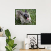 Brindle Cairn Terrier Poster (Heimbüro)