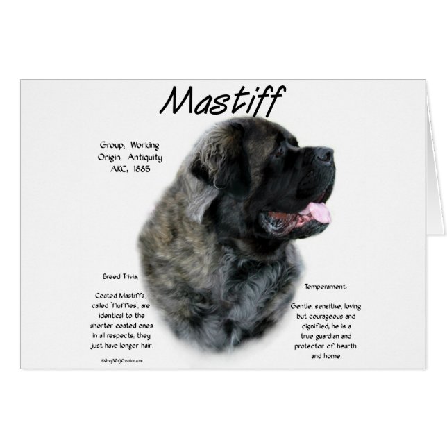 Brindle Fluffy Mastiff History (Vorderseite (Horizontal))