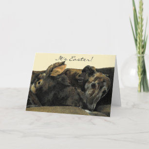 Brindle Greyhound & Bunny Easter Card Feiertagskarte