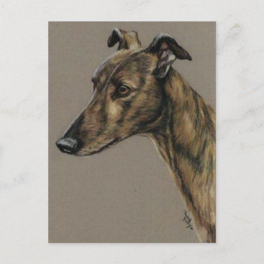 "Brindle Greyhound" Hund Art Postkarte (Vorderseite)