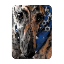 Brindle Greyhound in ihrem Urlaub Bandana