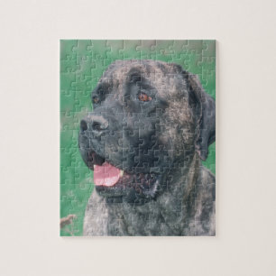 Brindle Masstiff Hundepuzzlespiel Puzzle