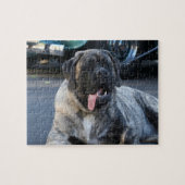 Brindle Mastiff Dog Puzzle (Horizontal)