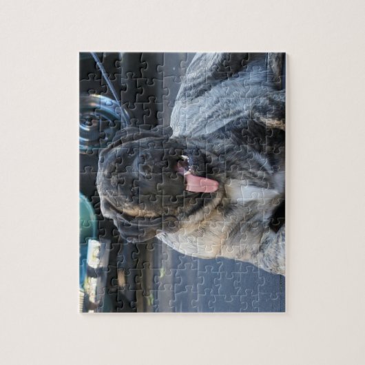 Brindle Mastiff Dog Puzzle (Vertikal)
