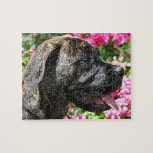 Brindle Mastiff Dog Puzzle