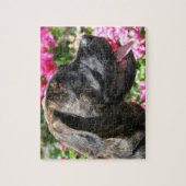 Brindle Mastiff Dog Puzzle (Vertikal)